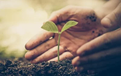 Sensibilisation à l’environnement 1