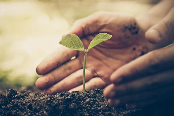 Sensibilisation à l’environnement 1
